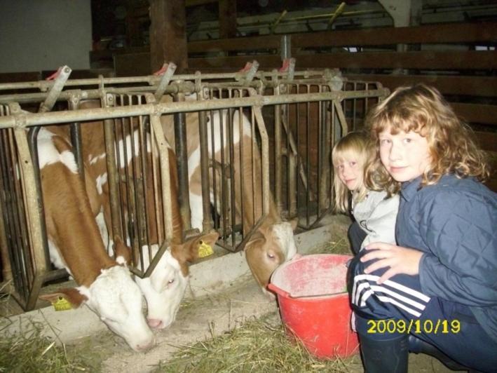 Hinterramsebn Daire Vorderstoder Dış mekan fotoğraf